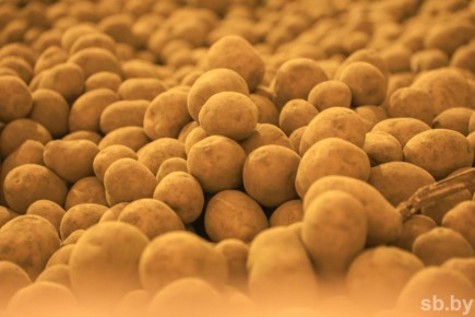 ��� ��������� �������� �� �����: ������ �������� ��������