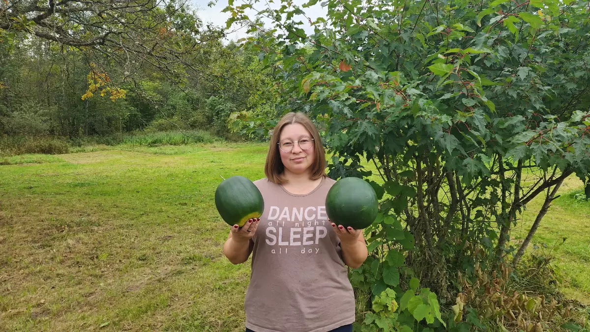 Арбузы для Средней полосы и Сибири: как выбрать идеальные сорта