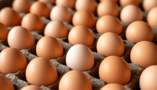 ���� � ���� ��� ����� ���: ���� � ���������� �� �������������