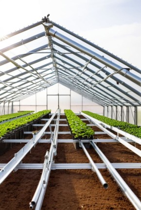 ��� ������� ��������� ������������� ���� ��� ����� �������