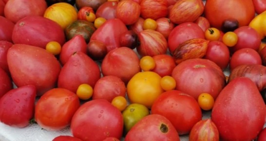 ������� ��������������� ����� ����� ������ �������