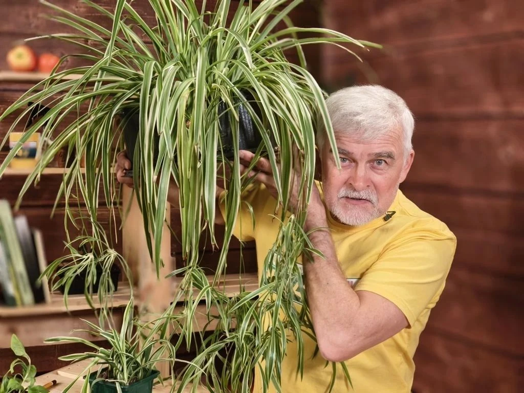 Смотрите в новом выпуске программы «Вперёд, товарищи! На дачу!»: Смотрите в новом выпуске программы «Вперёд, товарищи! На дачу!»: