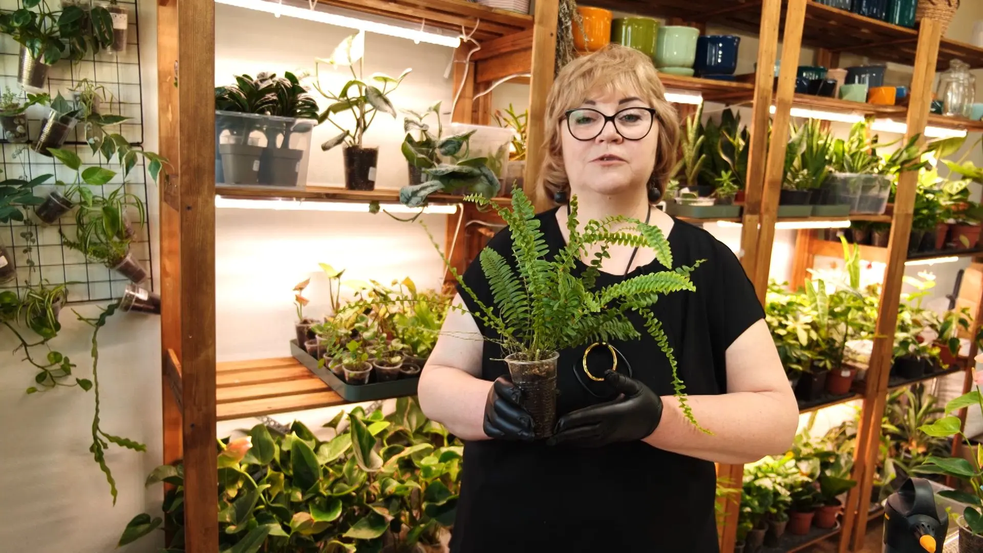 Смотрите в новом выпуске программы «Вперёд, товарищи! На дачу!»: Смотрите в новом выпуске программы «Вперёд, товарищи! На дачу!»: