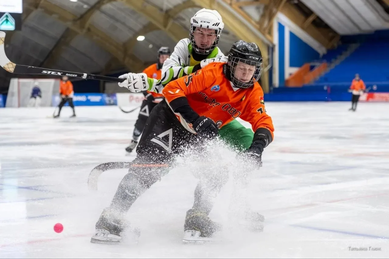 Кемеровские хоккеисты стали призёрами российского первенства Кемеровские хоккеисты стали призёрами российского первенства