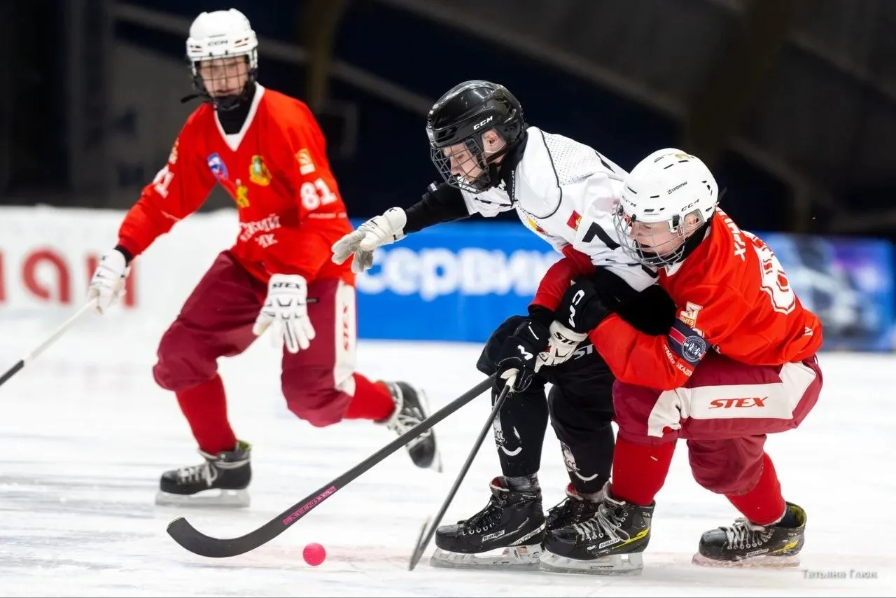 Кемеровские хоккеисты стали призёрами российского первенства Кемеровские хоккеисты стали призёрами российского первенства