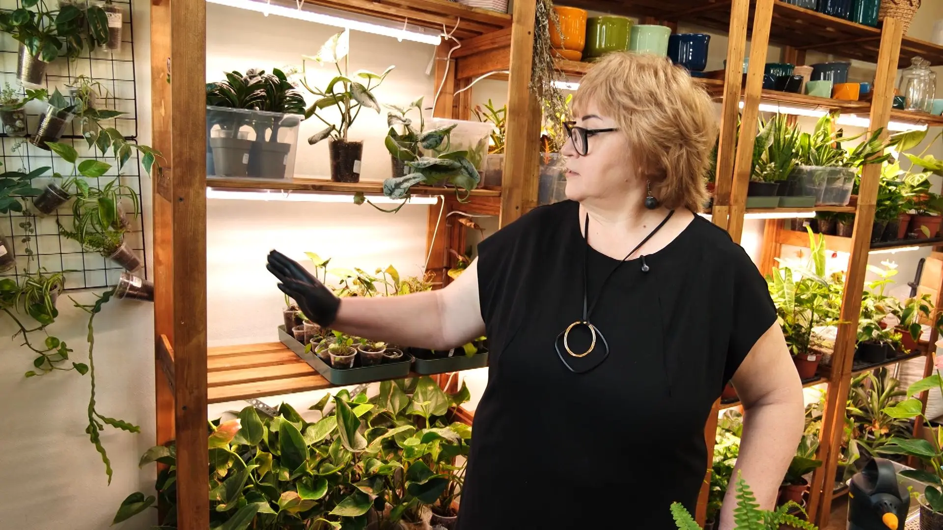 Смотрите в новом выпуске программы «Вперёд, товарищи! На дачу!»: Смотрите в новом выпуске программы «Вперёд, товарищи! На дачу!»: