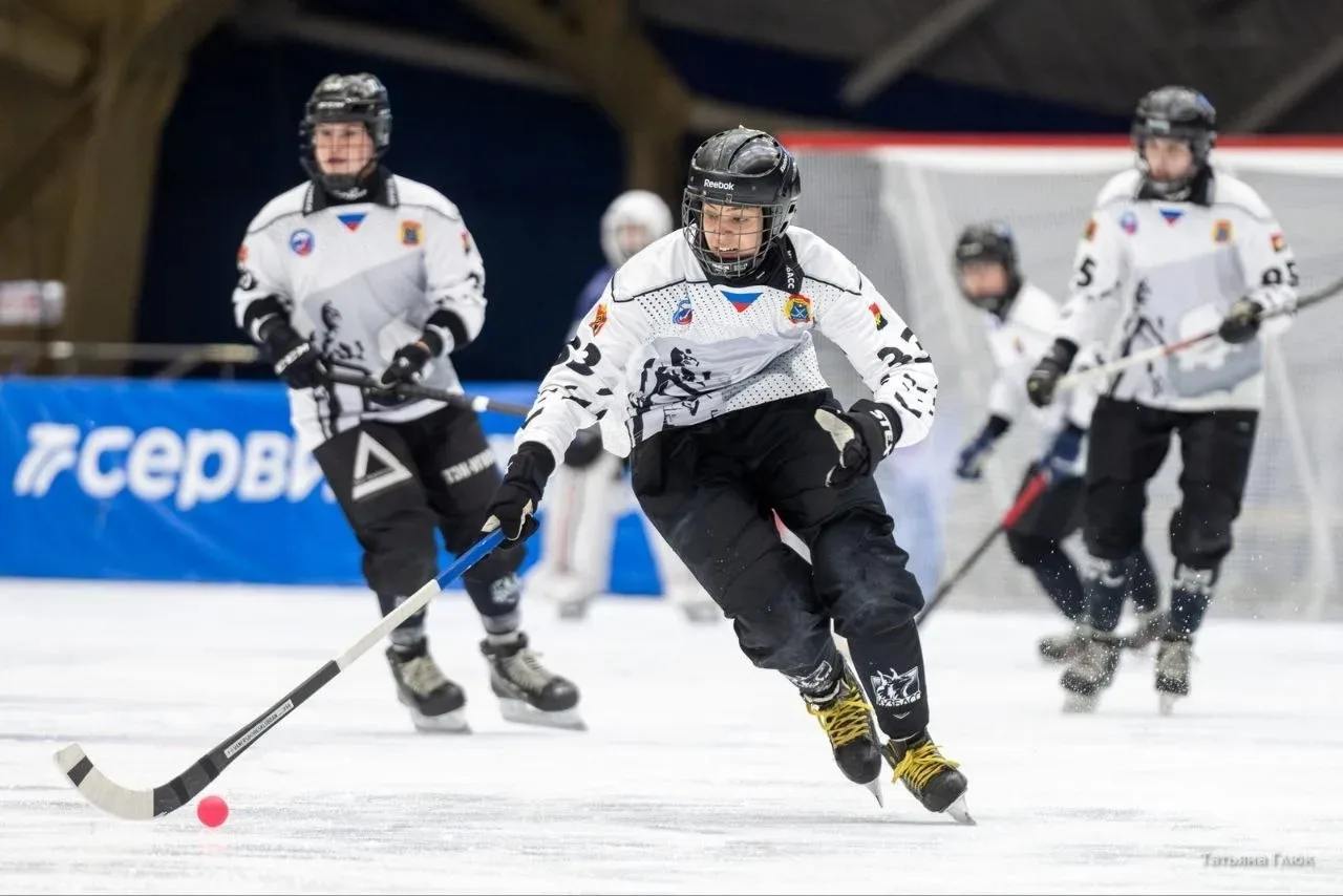 Кемеровские хоккеисты стали призёрами российского первенства Кемеровские хоккеисты стали призёрами российского первенства