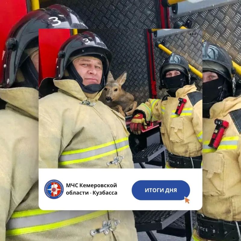 �� �������� ����� � 13 �� 14 ������ �������-������������ ������������� �������� ������������� 11 �������: