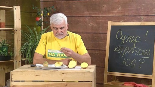 ������ ������� ��������� ������, ��������! �� ����!� ������� �������� ������� ��������� ����� � ���������� � ��������: