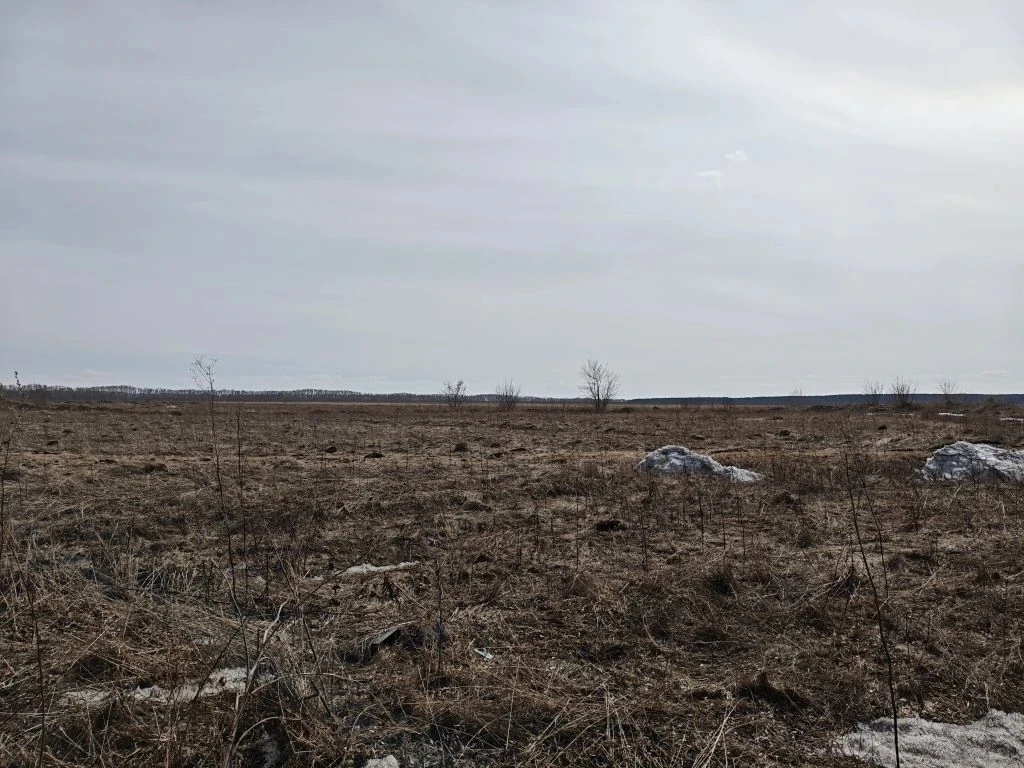 Дмитрий Анисимов: В этом году из-за большого количества снега мы видели значительный риск подтопления талыми водами частного сектора в завокзальной части города Дмитрий Анисимов: В этом году из-за большого количества снега мы видели значительный риск подтопления талыми водами частного сектора в завокзальной части города