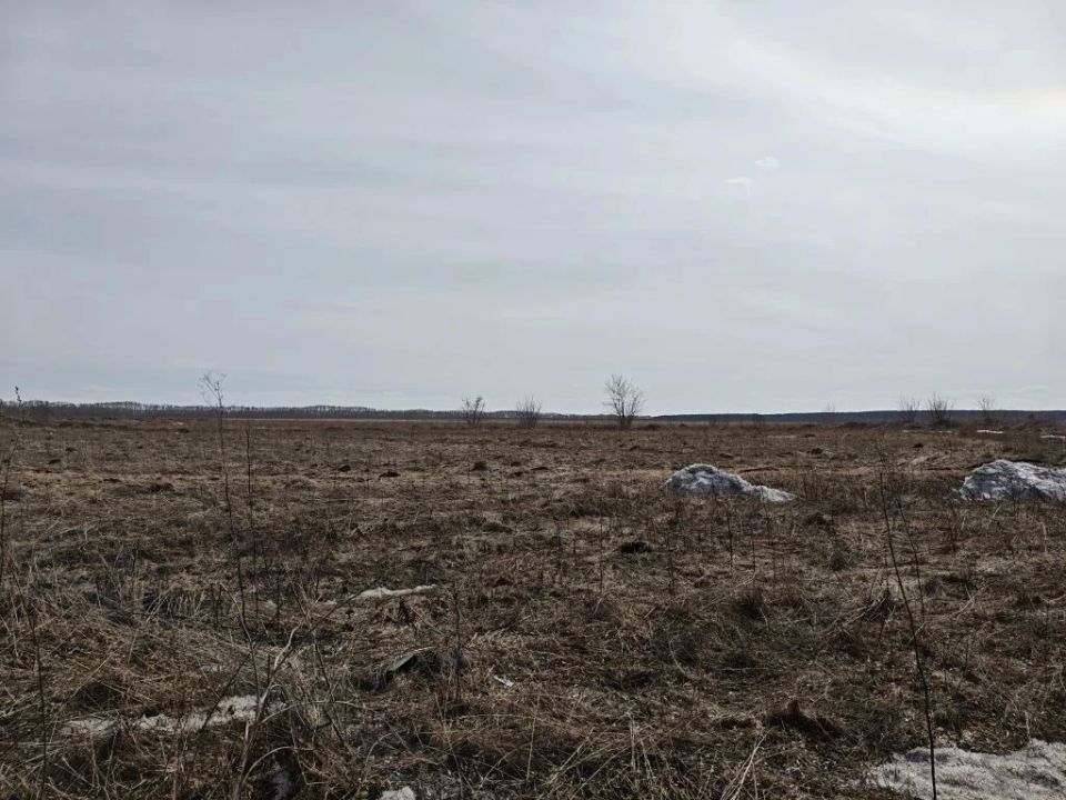 ����� ����������� � ������������ ����� �������� ������ ���, ������� ����� ������ ������� ��������