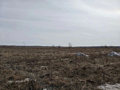 Риска подтоплений в завокзальной части Кемерова больше нет, сообщил глава города Дмитрий Анисимов