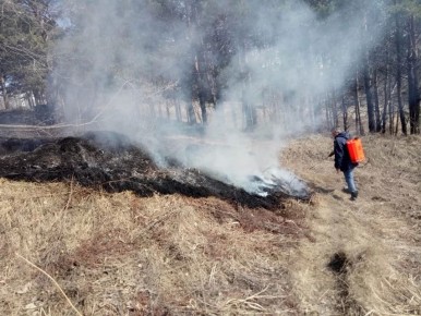 � ������������ ��� � �������� ��������� ������ ��������������� �����