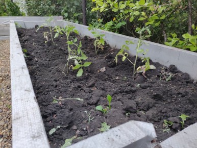 ������� ������: ����� �������� ������� ��� ���������� �������?