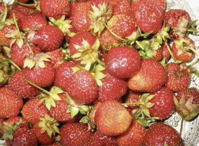 ������ �������� ���������� ������ � ��� ������� �� �������: �������� ������� � �������