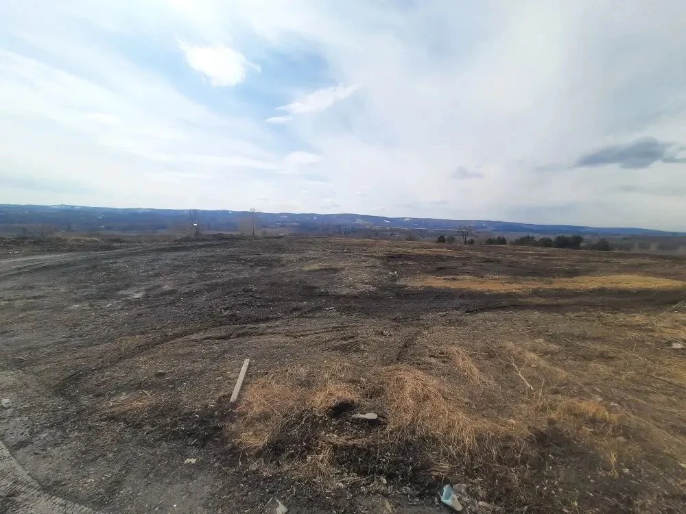 Комплексный план декриминализации сферы экологии и природопользования в действии Комплексный план декриминализации сферы экологии и природопользования в действии