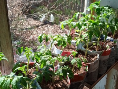 ���������� ������� ������� � ������� �� ���������� �����