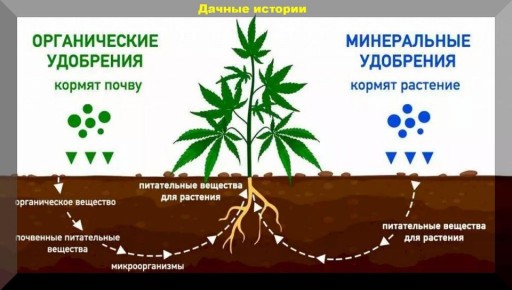 ��� ��������� ������������� �������� � �������� ������ � ����� �� ����