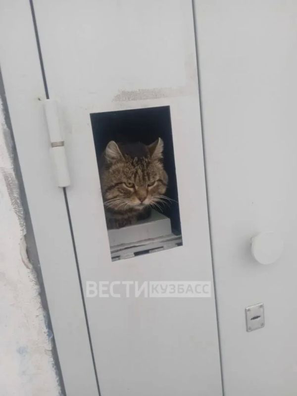 ������ ����! ������� � �������� ��������� ���������� ����������, �� ������ ������� - ������ ���� � ������