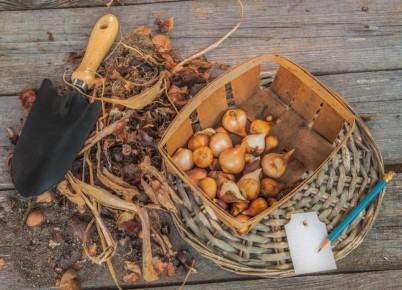 ������� ������� �������� ������� ���������: ���, ��� ����� �����