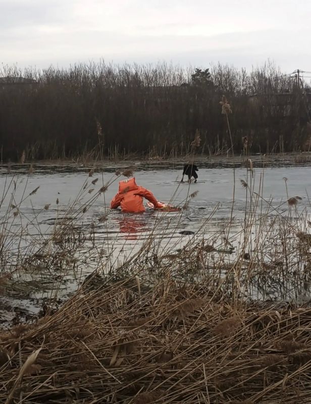 � ��������-��������� ������ ������ �� ������