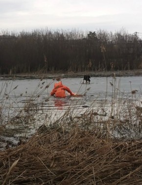 � ��������-��������� ������ ������ �� ������