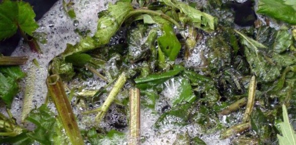 ������������� ��������� ��� ������ �������: �������� �������