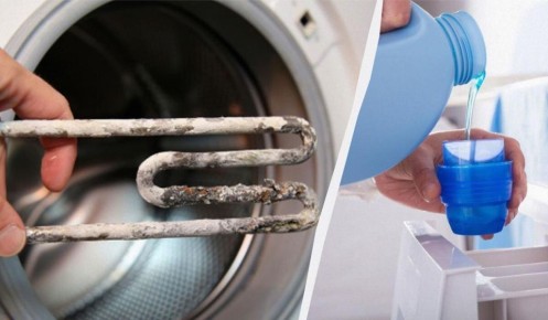 ��� ����� ������� ������ �� ���������� ������ � ������� ������