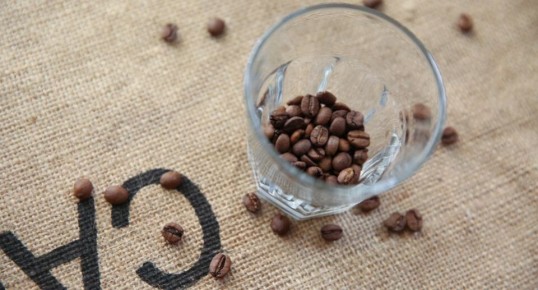 ������ ������ ���� � ������: ������� �� ���� ����� specialty