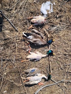 � ��������� ������ �������� ������� �����