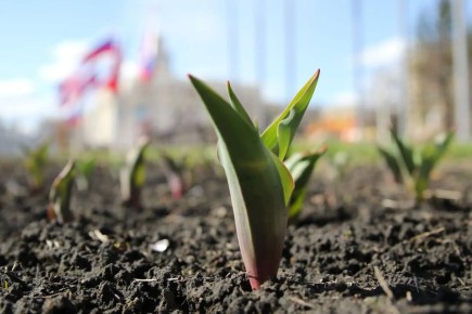 ������ ������ ��������� �������� �� ��������� �������