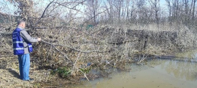 ���������� �������� � ��������: ������� ���� � ���� � 8:00 �������� �� 774 ��. � 11:00 ������� ���� �������� �� 771 ��