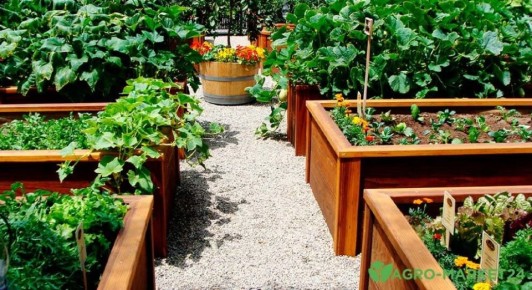 ��������� ����������: �������� � �������� ��� ������ ������� �������