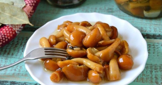 ������� ����������� ����: ��� ��������� ���� ����� � �����