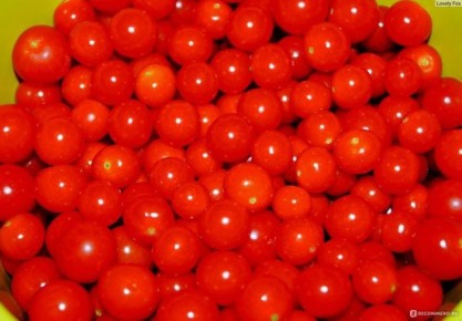 ������ �������: ��� ������� ������� ��������� ��� ������ ����