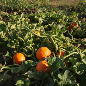 ��� ������� ����� ������� ����� ��� ����� ����