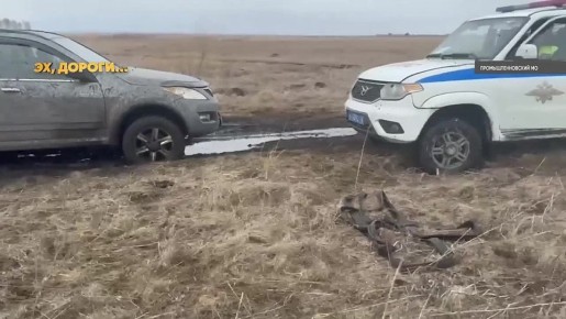 � ���������������� ������ ���������� ���������������� ������� �������������, ��������� � �������� ����