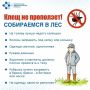 Сезон прогулок, дач и походов в самом разгаре, но про клещей забывать не стоит