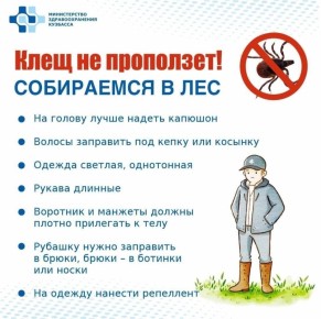 Сезон прогулок, дач и походов в самом разгаре, но про клещей забывать не стоит