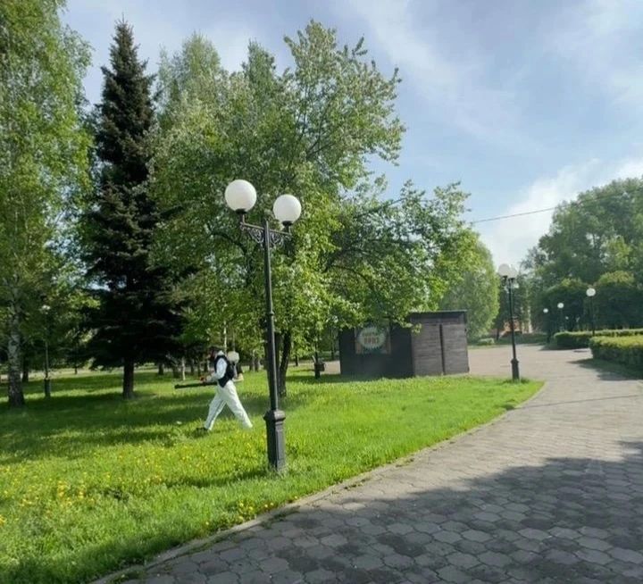 В Новокузнецке приступили к обработке территорий от клещей