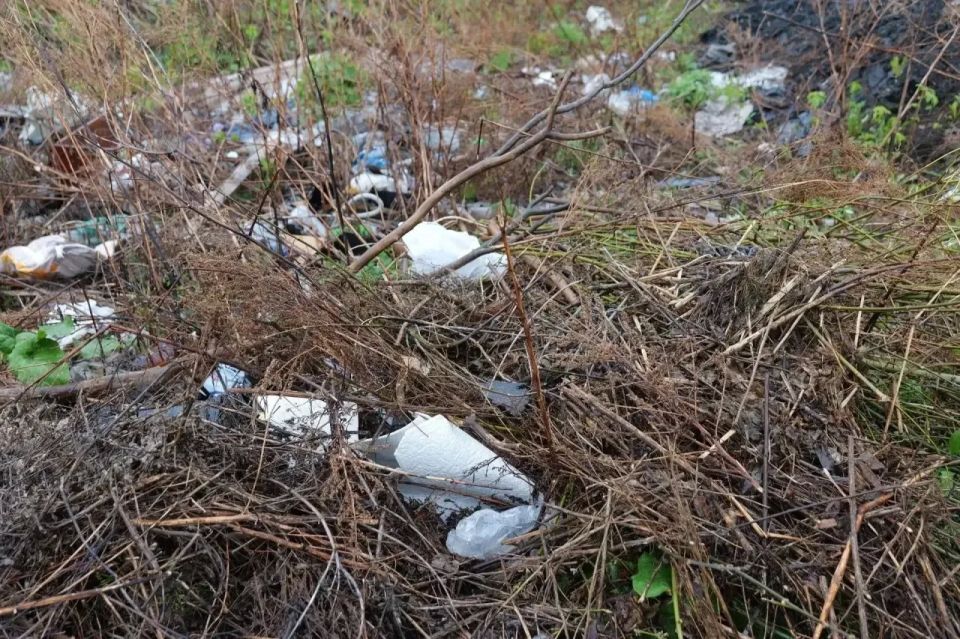 В Кемерове ликвидировали несанкционированную свалку В Кемерове ликвидировали несанкционированную свалку