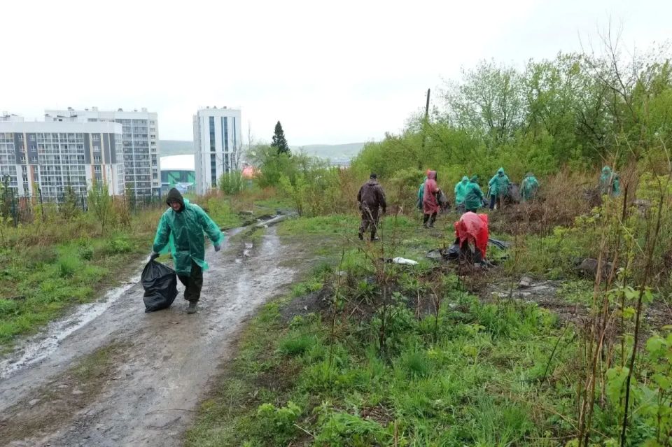 В Кемерове ликвидировали несанкционированную свалку В Кемерове ликвидировали несанкционированную свалку