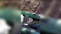 В Кузбассе транспортные полицейские изъяли незаконно добытые биоресурсы на сумму почти 90 тысяч рублей