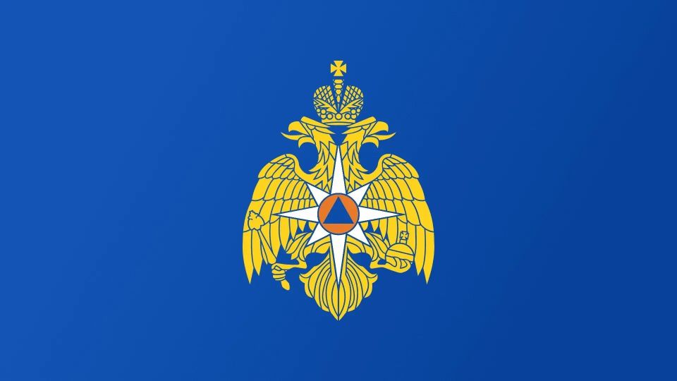 МЧС России разъясняет вопросы создания нештатных аварийно-спасательных формирований по борьбе с пожарами