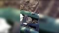 � �������� ������������ ����������� ������� ���������� �� ����