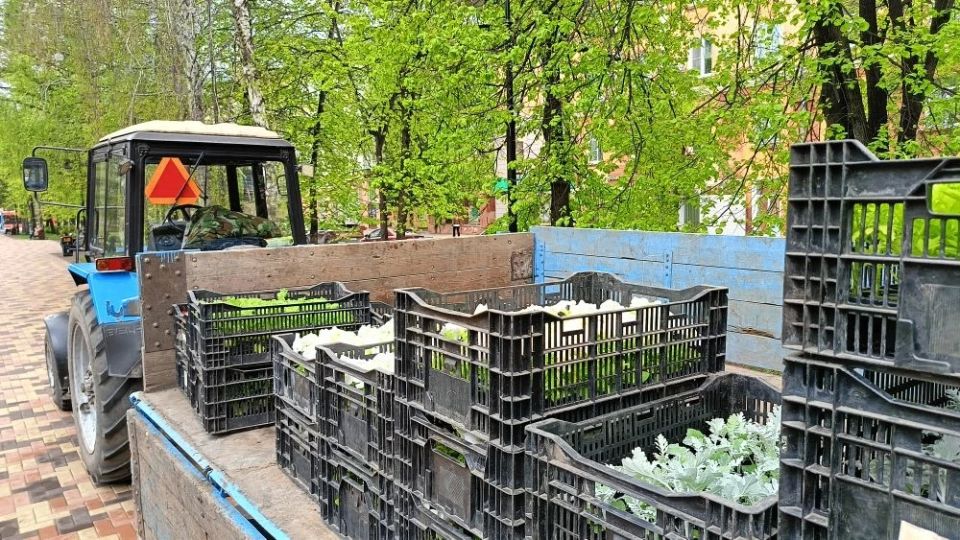Яркие цветочные композиции уже радуют жителей и гостей города Кемерово Яркие цветочные композиции уже радуют жителей и гостей города Кемерово