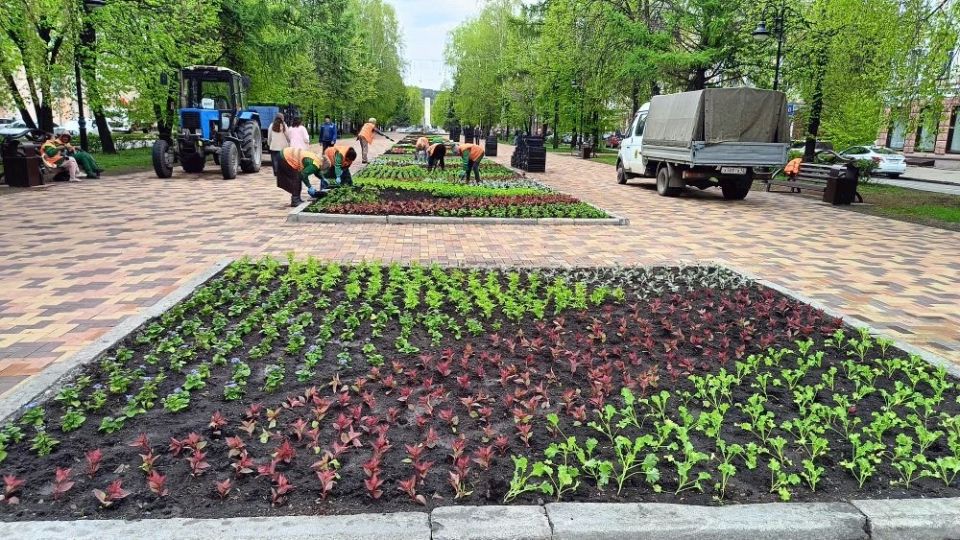 Яркие цветочные композиции уже радуют жителей и гостей города Кемерово Яркие цветочные композиции уже радуют жителей и гостей города Кемерово