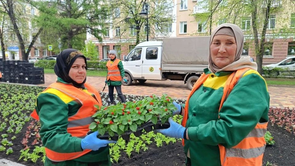 Яркие цветочные композиции уже радуют жителей и гостей города Кемерово Яркие цветочные композиции уже радуют жителей и гостей города Кемерово