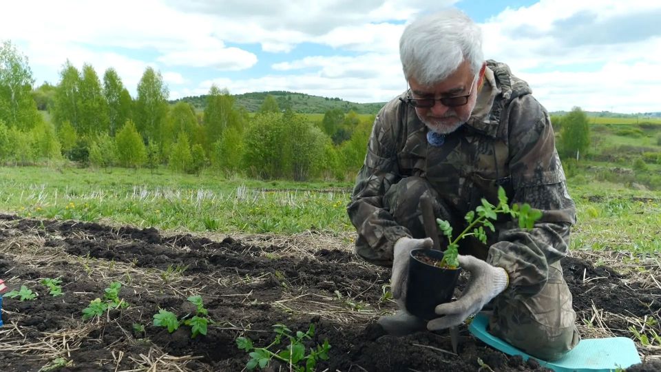 Рассада, прополка и красивые цветы в новом выпуске программы «Вперёд, товарищи! На дачу!»: Рассада, прополка и красивые цветы в новом выпуске программы «Вперёд, товарищи! На дачу!»: