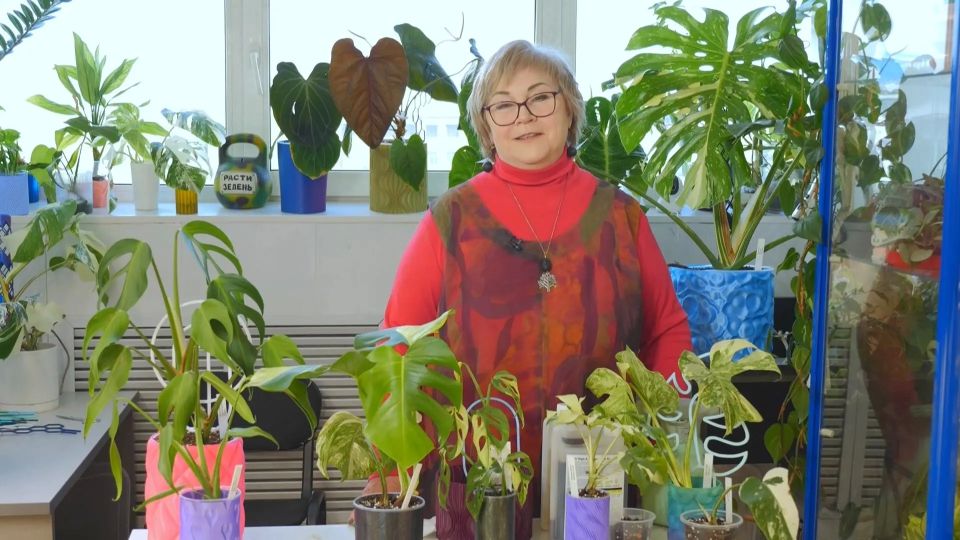 Рассада, прополка и красивые цветы в новом выпуске программы «Вперёд, товарищи! На дачу!»: Рассада, прополка и красивые цветы в новом выпуске программы «Вперёд, товарищи! На дачу!»: